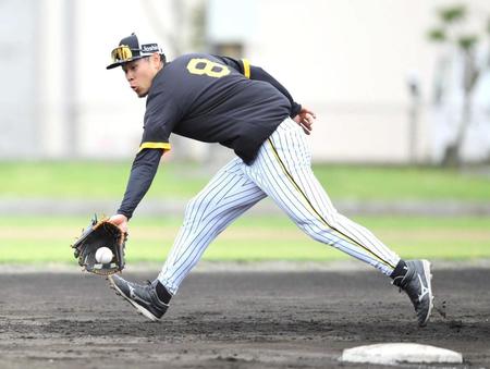 　懸命にボールを追う佐藤輝