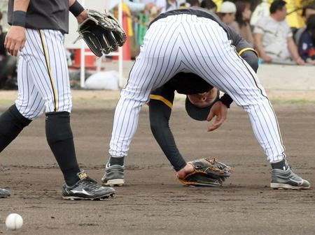 　トンネルしグラブをたたいて悔しがる佐藤輝