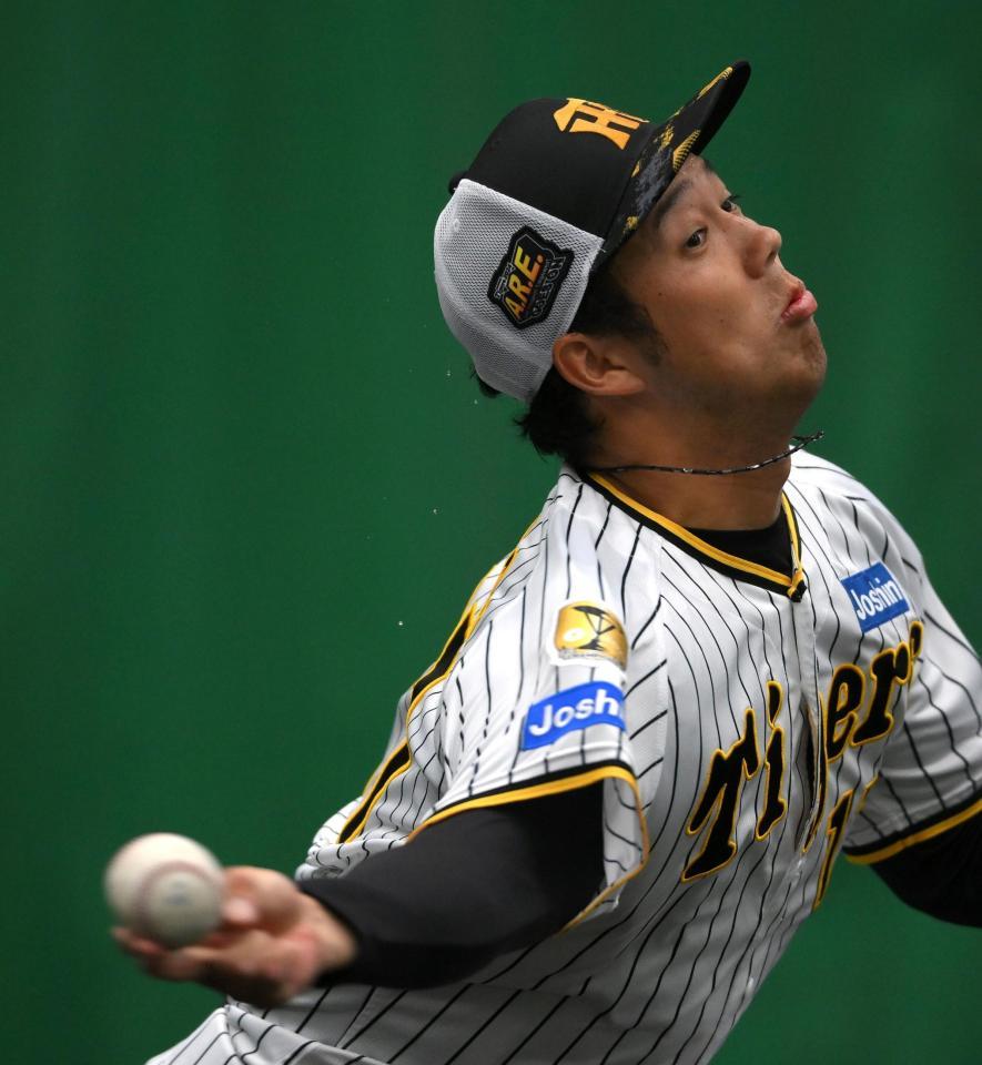 　ブルペンで力投する青柳（撮影・伊藤笙子）