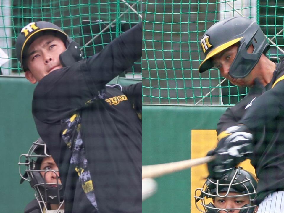 　フリー打撃で快音を響かせる（左から）野口と井上