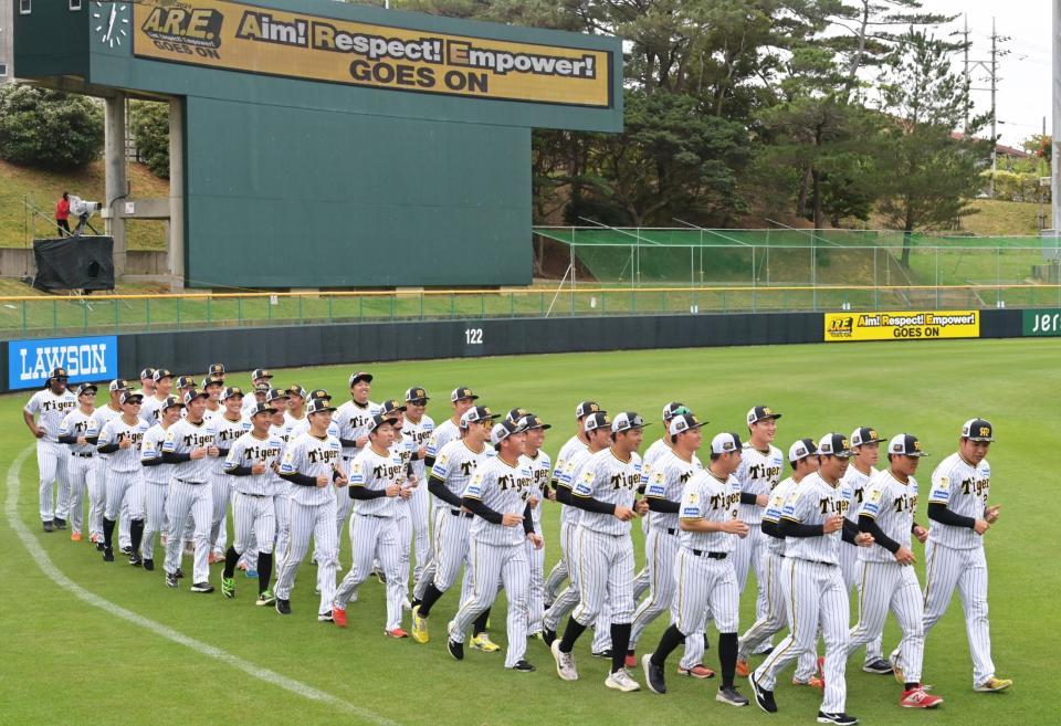 　キャンプの最後に連帯歩調で締めくくる阪神ナイン（撮影・立川洋一郎）