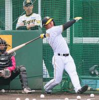 　フリー打撃をして打ち込む森下（撮影・立川洋一郎）