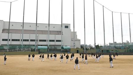 　ウオーミングアップする阪神ナイン