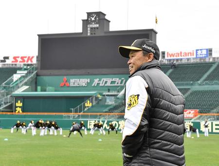 阪神・岡田監督　北の大地から１軍最終選考　２日以降のＯＰ戦で見極める　レギュラー獲りのカギ「普段通りの姿勢」