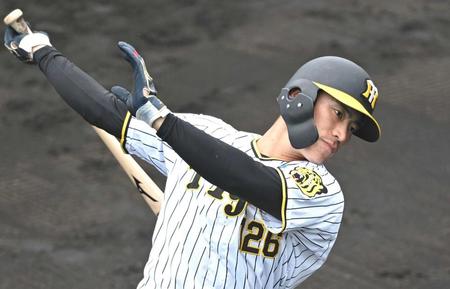 　打撃練習する福島（撮影・北村雅宏）