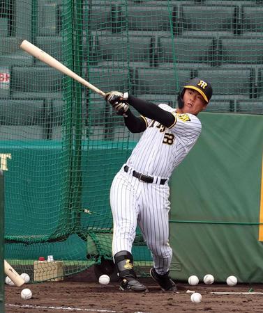 　打撃練習する前川（撮影・山口登）