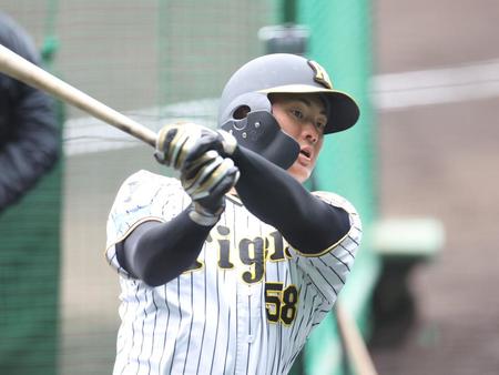 　打撃練習する前川（撮影・中田匡峻）