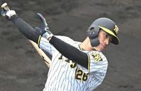 　打撃練習する福島（撮影・北村雅宏）