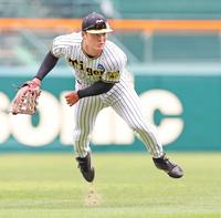 　ノックで本塁に送球する前川（撮影・中田匡峻）