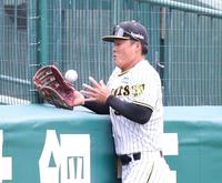 　シートノックでフェンスに当たった打球の処理にもたつく前川（撮影・中田匡峻）