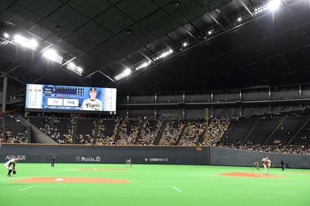 　札幌ドームで先発登板した門別（撮影・堀内翔）