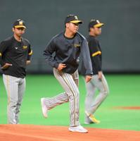 　試合前にマウンドの感触を確かめる門別（撮影・堀内翔）