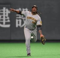 　８回、浅間の打球の処理をミスする左翼手のミエセス（撮影・堀内翔）