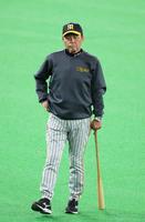 　試合前練習でナインの動きを見守る岡田監督（撮影・立川洋一郎）