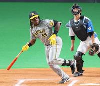 　６回、中犠飛を放ち一塁へ駆け出すミエセス（撮影・立川洋一郎）