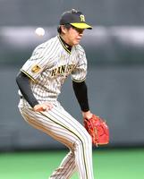 　３回、足に打球を当てる才木（撮影・田中太一）