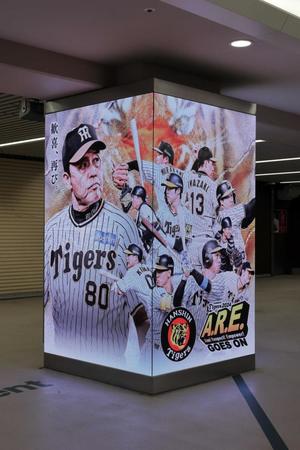 　コンコースに設置されたデジタルサイネージ（阪神甲子園球場提供）