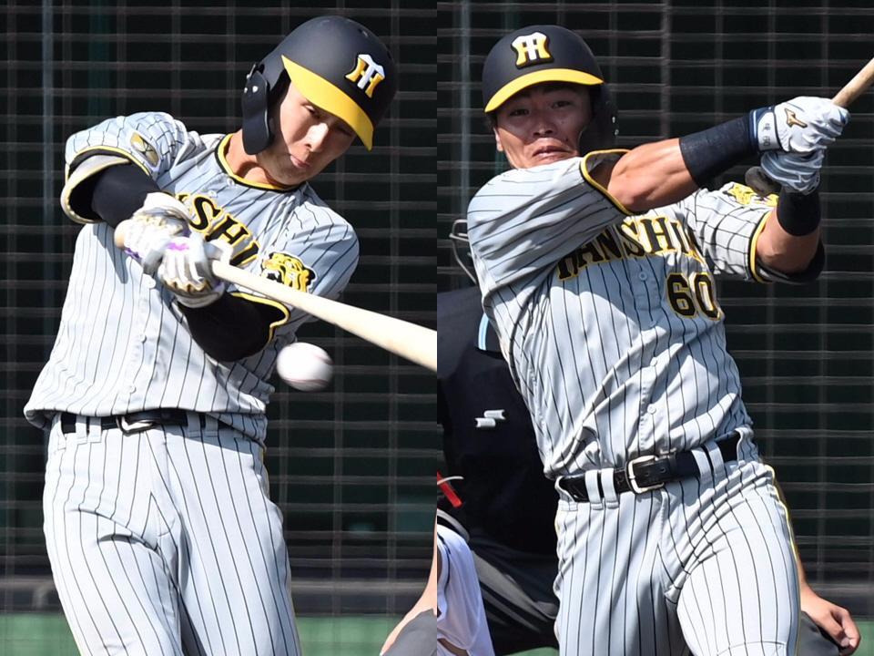 　阪神・小幡（左）と小野寺