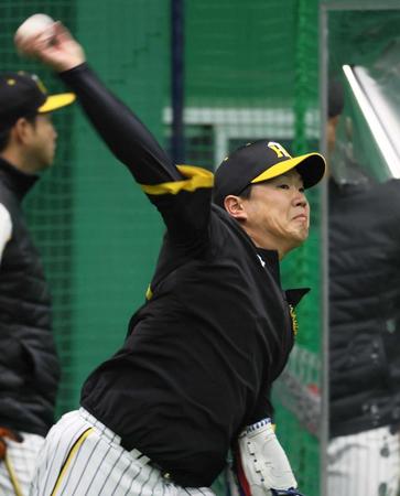 　キャッチボールをして調整する西勇（撮影・立川洋一郎）