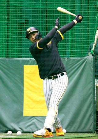 　打撃練習をする井上（撮影・中田匡峻）