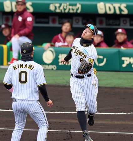 　２回、阿部の飛球を落球する三塁手・佐藤輝（撮影・立川洋一郎）