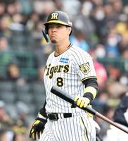 　８回、空振り三振に倒れた佐藤輝は険しい表情でベンチに戻る（撮影・中田匡峻）