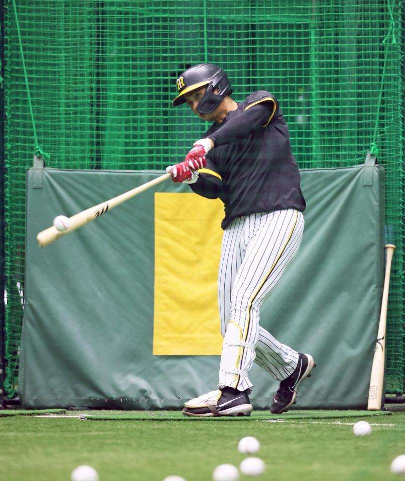 　打撃練習をする井上（撮影・立川洋一郎）