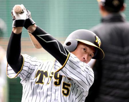 　打撃練習をする近本（撮影・中田匡峻）