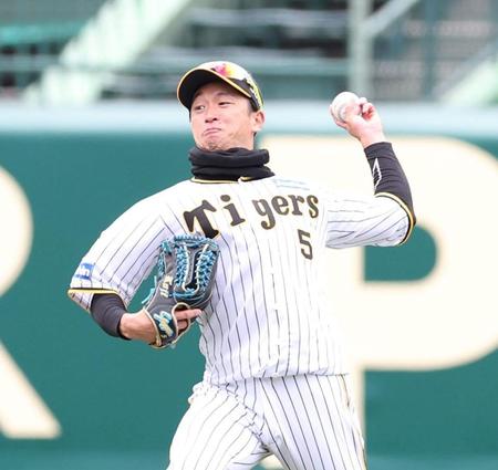 　シートノックで本塁に返球する近本（撮影・中田匡峻）