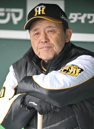 　試合前練習を見る岡田監督（撮影・北村雅宏）