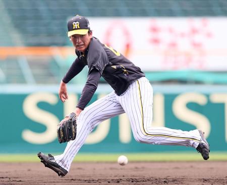 　１軍に合流しノックを受ける高寺（撮影・立川洋一郎）