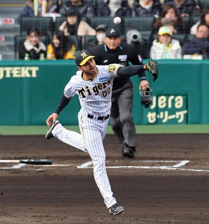 　６回、内山の打球に飛びつくゲラ（撮影・山口登）