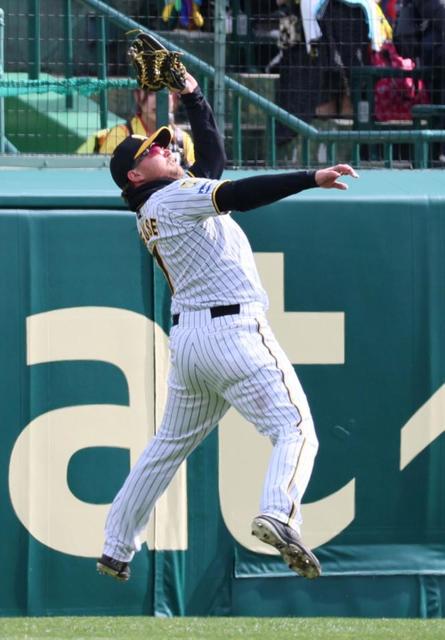 阪神 ノイジーの好守３連発に甲子園大歓声 オープン戦初の左翼で鉄壁