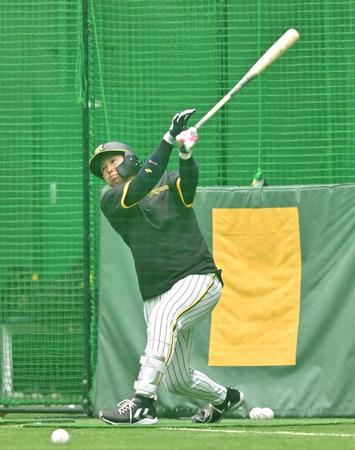 　打撃練習で快音を響かせる梅野（撮影・北村雅宏）