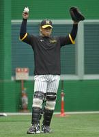 　距離を伸ばしながらキャッチボールする梅野（撮影・北村雅宏）