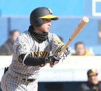 　７回、右前適時打を放つ近本（撮影・西岡正）