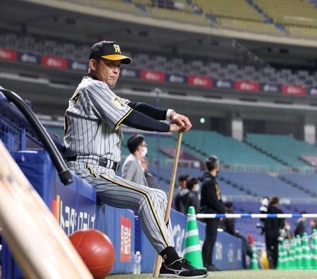 　練習を見つめる岡田監督（撮影・中田匡峻）