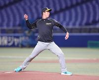 　マウンドの感触を確かめる青柳（撮影・中田匡峻）