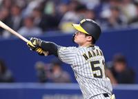 　６回、左飛に倒れる中野（撮影・中田匡峻）