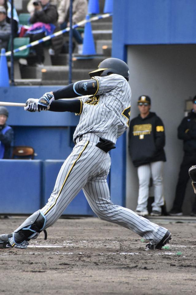 　３回、大野雄から左前打を放つ戸井