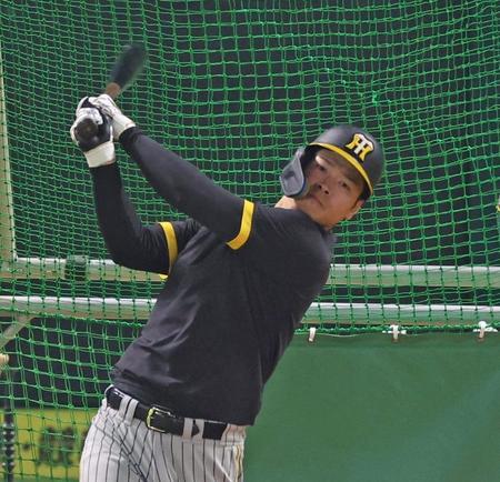 　打撃練習をする佐藤輝（撮影・中田匡峻）