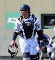 阪神タイガース ウィンドブレイカー プロコレ(和田監督時代) 新着入荷の通販 阪神タイガース ウィンドブレイカー プロコレ
