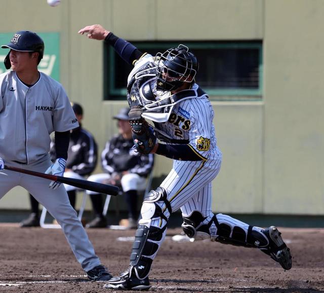 阪神・梅野隆太郎、右肩肉離れから実戦復帰「不安なくできたんでそれが