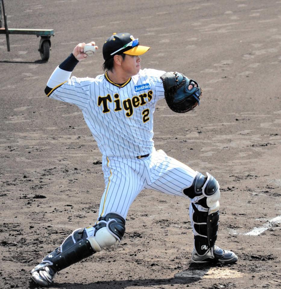 　送球練習を行う梅野（撮影・井上慎也）