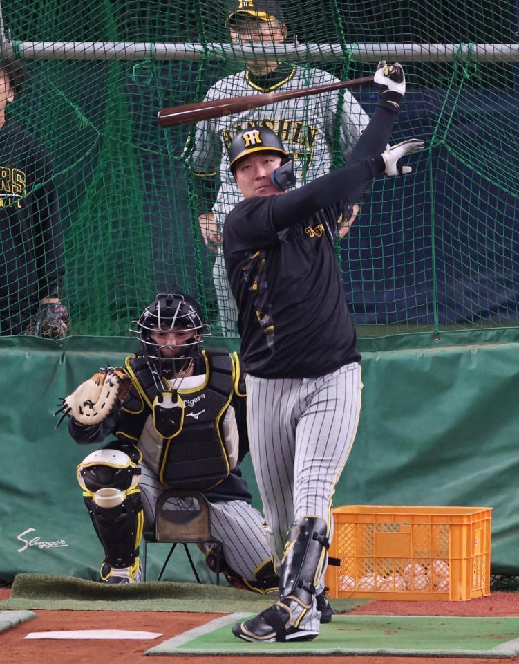 　打撃練習をする大山（撮影・中田匡峻）