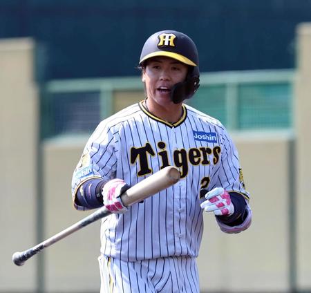 　３回、中飛に倒れベンチ戻る梅野（撮影・山口登）