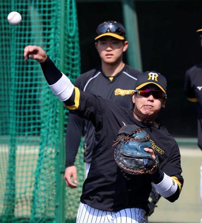 　スローイング練習する梅野（撮影・山口登）