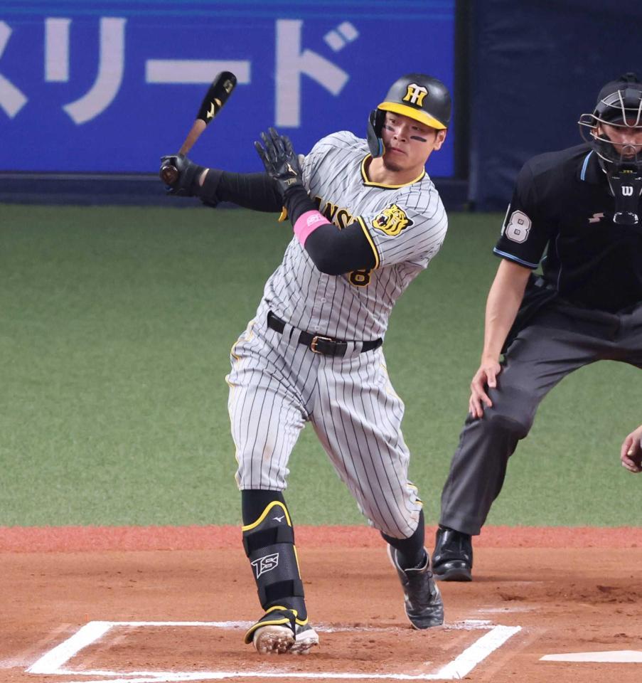 　６回、右前打を放つ佐藤輝（撮影・中田匡峻）