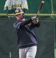 　打撃練習する大山（撮影・中田匡峻）