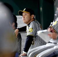 　６回、巨人にリードされ、戦況を見つめる岡田監督（撮影・田中太一）